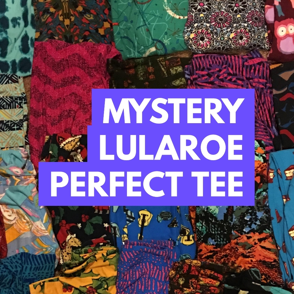 NEW LuLaRoe Perfect Tee - Mystery Shirt